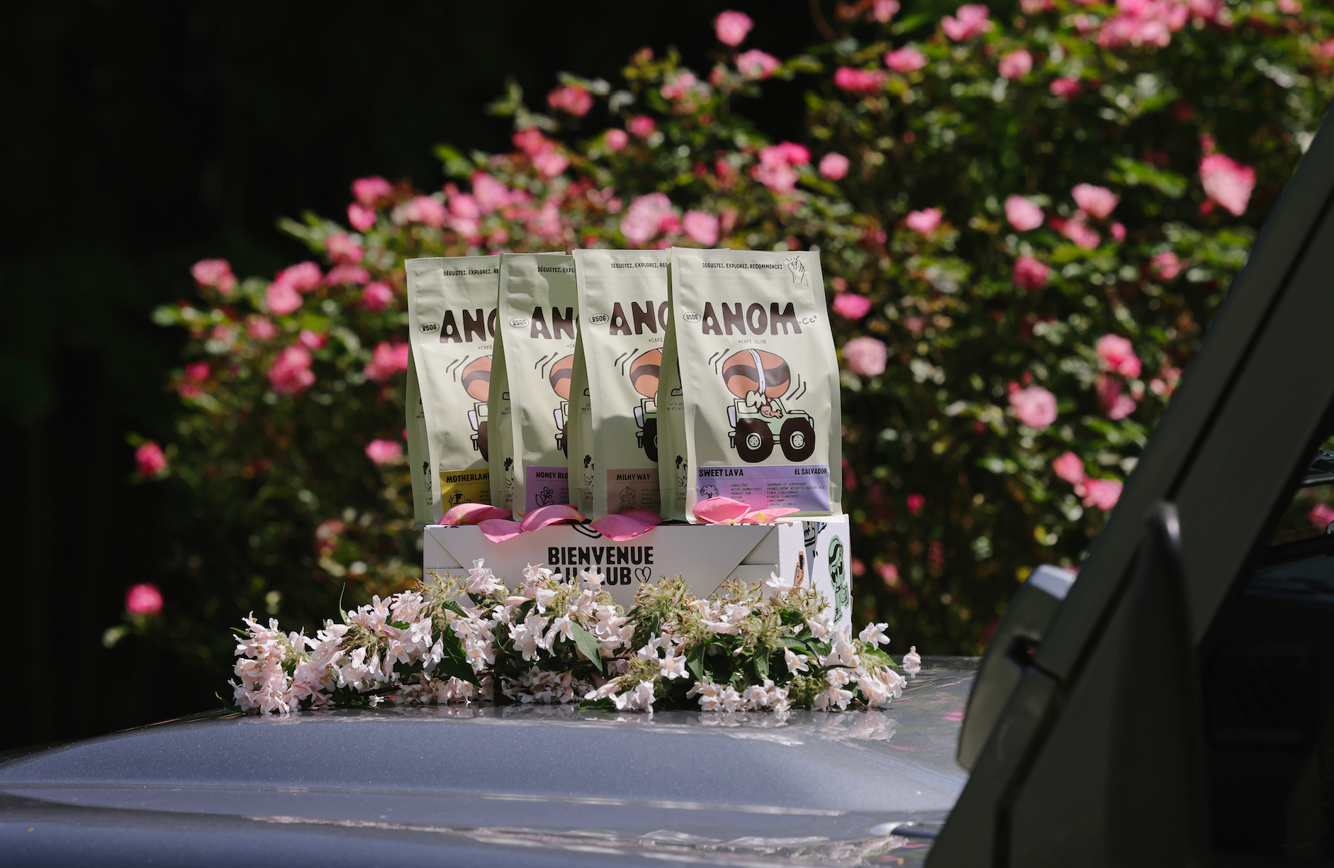 Anom Café club