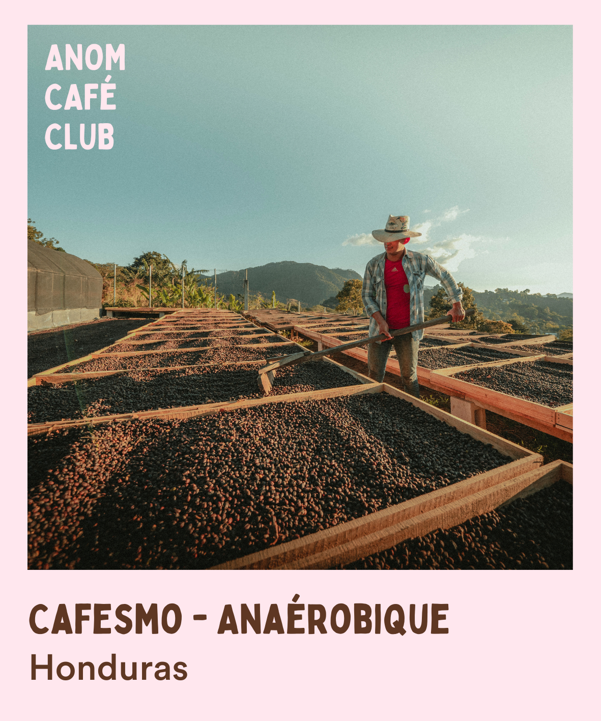 Cafesmo Anaérobique - Honduras 🇭🇳