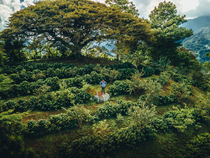 Cafesmo Anaérobique - Honduras 🇭🇳