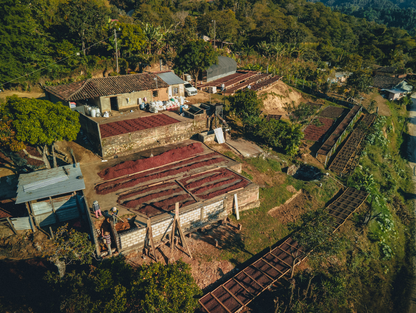 Cafesmo Anaérobique - Honduras 🇭🇳