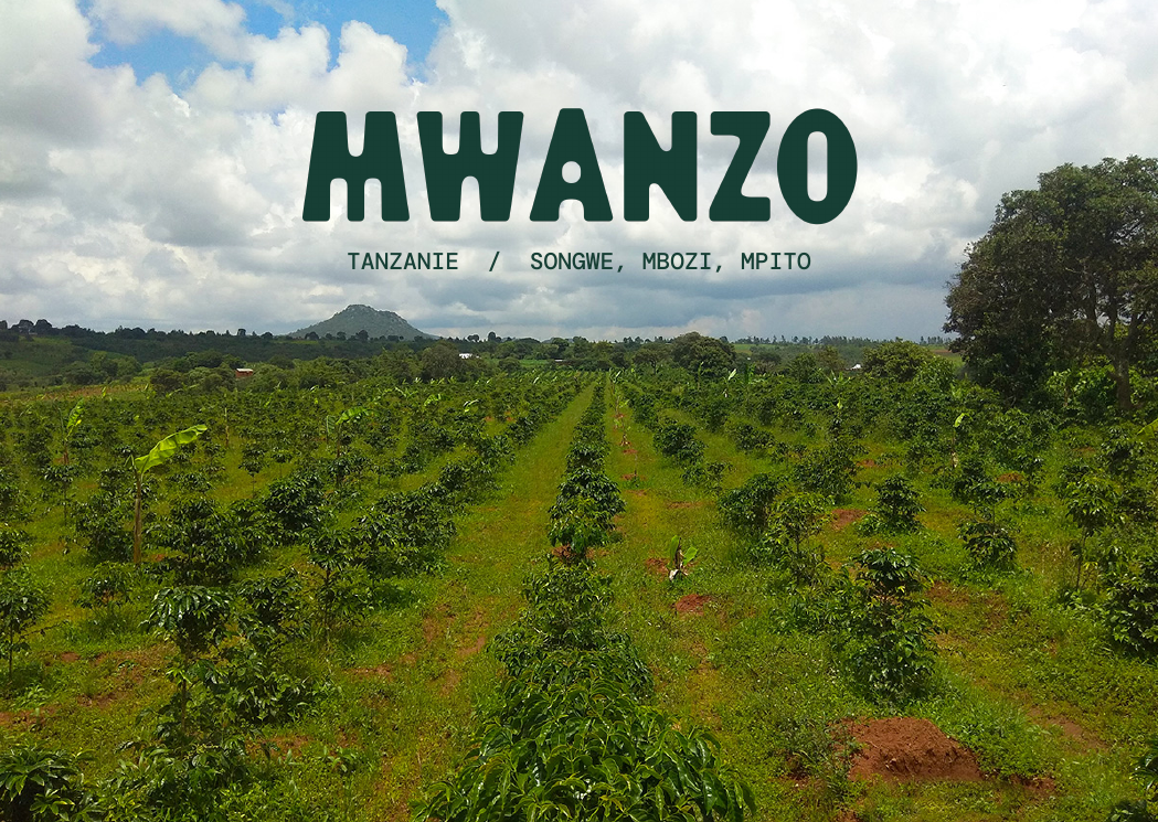Mwanzo : la carte du café de septembre