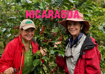La carte Rita Rosa, café du Nicaragua